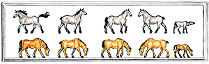 Animals -- Draft Horses (3 Gray, 3 Brown)