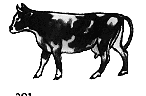 Cow standing #2