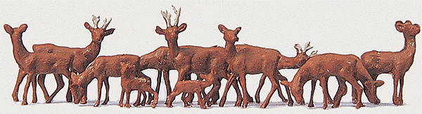 Animals -- Deer (Roes)
