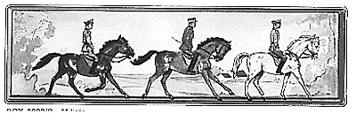 Military riders        3/