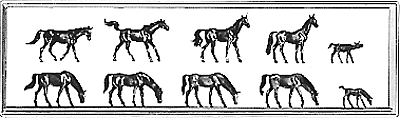 Show horses           10/