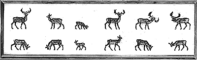 Animals -- Fawns
