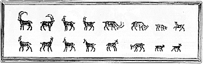Bighorn goats         16/