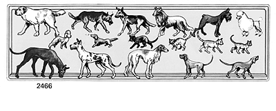 Animals -- Dogs