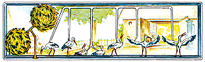 Animals -- Storks w/2 nests