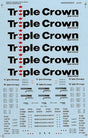 Norfolk Southern - NS -- Triple Crown Service Road Railers