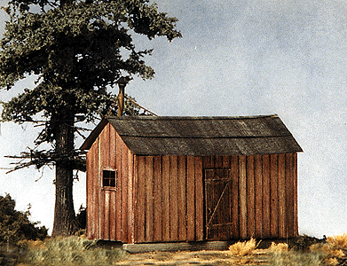 Logging Bunkhouse pkg(3) -- 3 x 1-13/16"