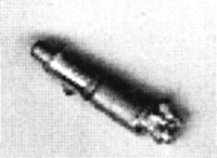 Westinghouse K Brake Gear (Brass)