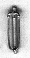 Lube Valve brass