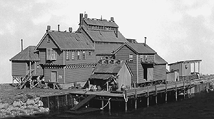 Hyde Pulp Mill
