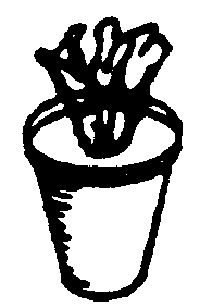 Flower Pots