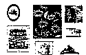 Assorted Paintings pkg(2)