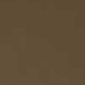 Water-Based Acrylic Paint 1oz 29.6ml -- MMP-123 Rail Tie Brown