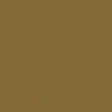 Water-Based Acrylic Paint 1oz 29.6ml -- MMP-017 Grunbraun Green-Brown RAL 8000