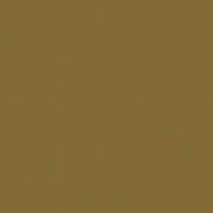Water-Based Acrylic Paint 1oz 29.6ml -- MMP-017 Grunbraun Green-Brown RAL 8000