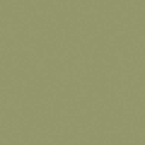 Water-Based Acrylic Paint 1oz 29.6ml -- MMP-021 US Army Olive Drab Faded 2
