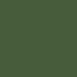 Water-Based Acrylic Paint 1oz 29.6ml -- MMP-032 Russian Green Modern AFV