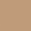 Water-Based Acrylic Paint 1oz 29.6ml -- MMP-038 US Desert Tan Modern 2 FS 33446