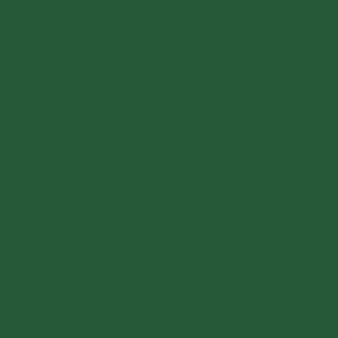 Water-Based Acrylic Paint - 1oz  29.6mL -- MMP-004 Green