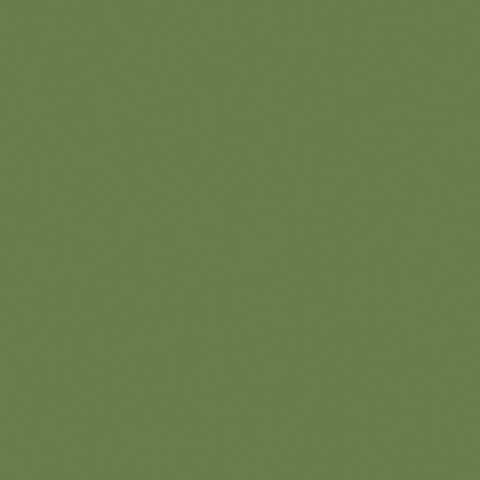 Water-Based Acrylic Paint 1oz 29.6ml -- MMP-053 Hellgrun Bright Green RLM 82