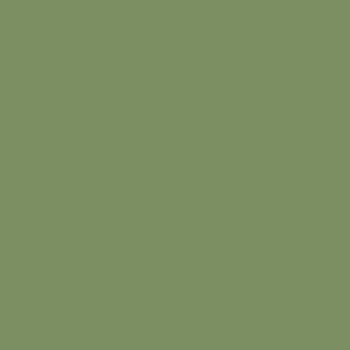 Water-Based Acrylic Paint 1oz 29.6ml -- MMP-079 RAF Interior Green