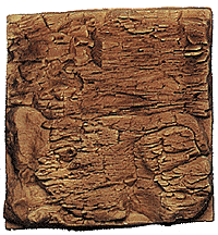 Natural Rock Casting -- Agawa Canyon Wall