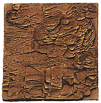 Natural Rock Casting -- Kitanning Slope
