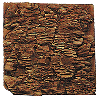 Natural Rock Casting -- Colorado Red Rock