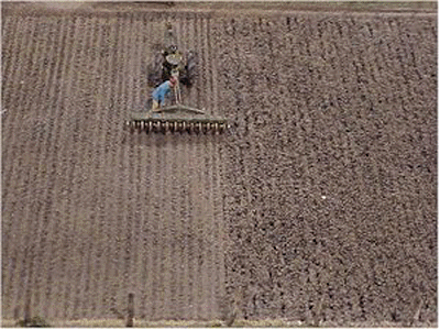 Plowed Field -- White with Gray/Black Highlights 8-1/2 x 5-1/2"  21.6 x 14cm-1