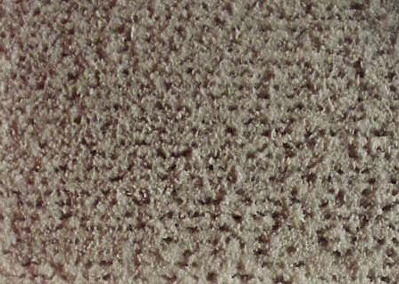 Plowed Field -- White with Gray/Black Highlights 8-1/2 x 5-1/2"  21.6 x 14cm-3
