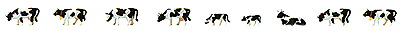 Animals -- Cows & Calves (Black & white) pkg(9)