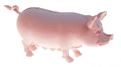 Figures Animals -- Pigs