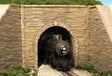 Single-Track Tunnel Portal -- Split Stone