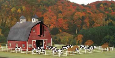 Adam's Dairy Farm Barn -- 2 x 2-3/16 x 2-3/16"  5 x 5.4 x 5.4cm; Barn, 23 Cows, 6 Horses & Fencing-2