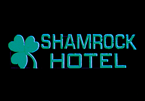 Horizontal Sign Lighting Kits - Animated -- Shamrock Hotel - Large
