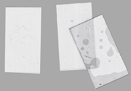 .005" Thick Plate Glass -- .85 x 1.70"  2.16 x 4.32cm pkg(4)