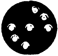 Signal Disc Head -- PRR 8-Light
