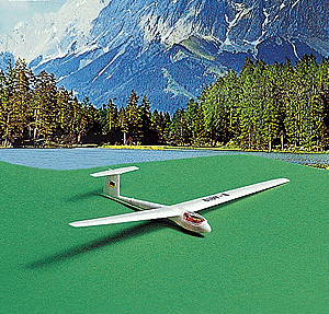 High-Performance Glider