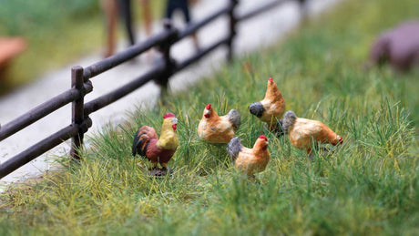 Chickens and Rooster - Sound Scene 2.0 -- Rooster and 4 Hens, Sound Module & Speaker-2