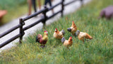 Chickens and Rooster - Sound Scene 2.0 -- Rooster and 4 Hens, Sound Module & Speaker-2