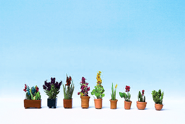 Ornamental Plants in Flower Pots #2 -- pkg(9)