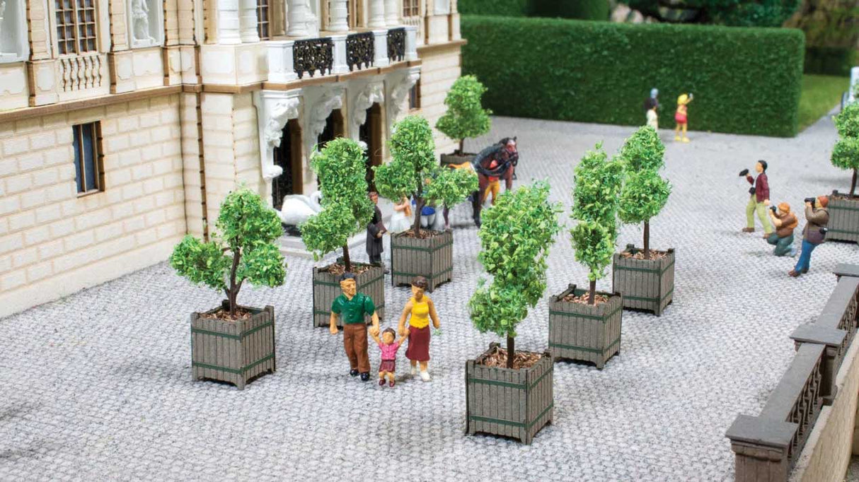 Ornamental Trees in Tubs -- pkg(2)