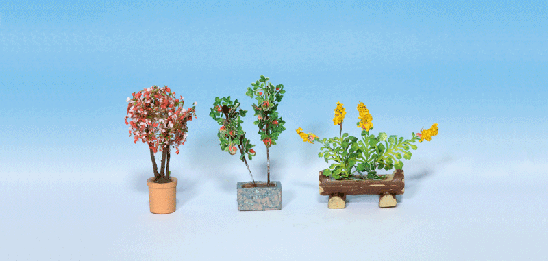 3 Ornamental Plants in Flower Pots -- Set #1