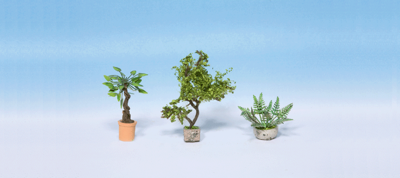 3 Ornamental Plants in Flower Pots -- Set #3
