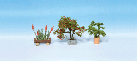 3 Ornamental Plants in Flower Pots -- Set #4