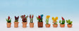 Ornamental Plants in Flower Pots -- Set #1 pkg(9)