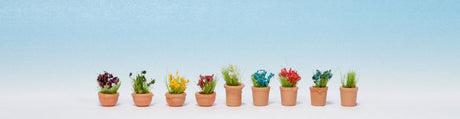 Ornamental Plants in Flower Pots #3 -- pkg(9)