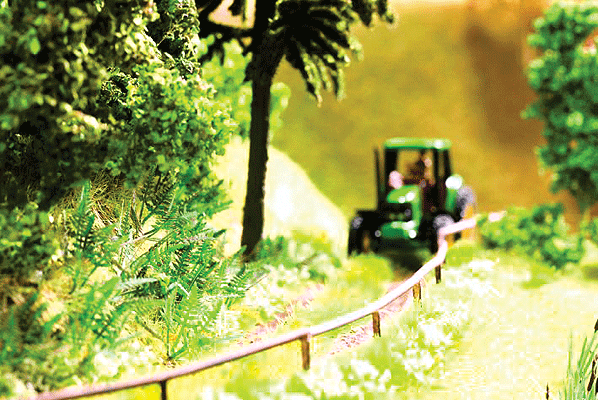 Ferns -- pkg(9)