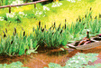 Reeds -- pkg(16)