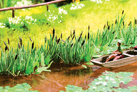 Reeds -- pkg(16)